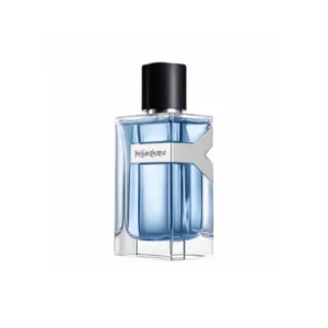 YSL Y