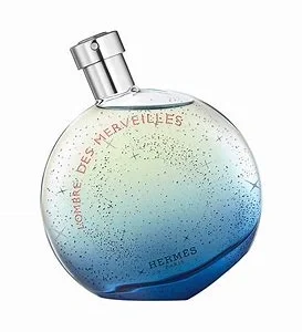 Hermes Eau des Merveilles Bleue